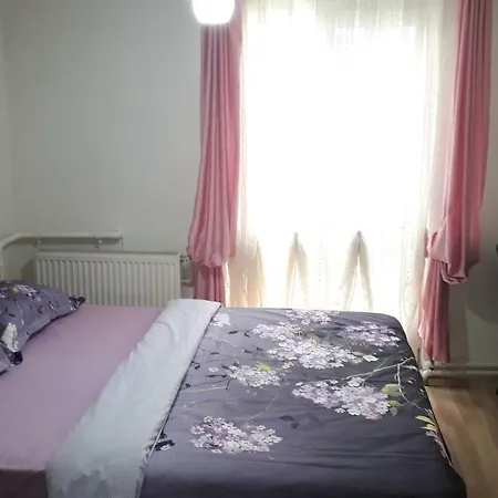 Unique Classical Duplex House איסטמבול