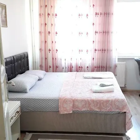 Unique Classical Duplex House *