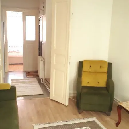 Apartment Unique Classical Duplex House